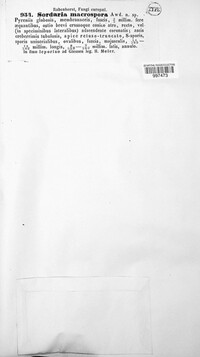 Image Associated With the Occurence